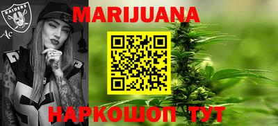 гашик Будённовск