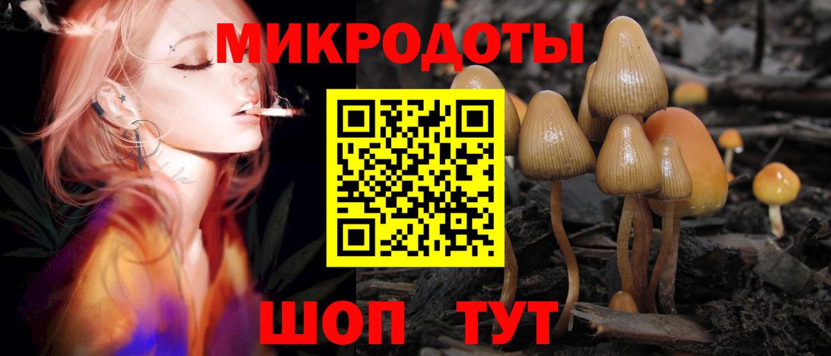Дивногорск  Галлюциногенные грибы ЛСД  Вход с VPN 